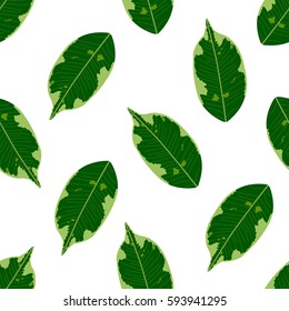 Seamless foliage pattern. Detailed botanical illustrations of exotic leaves ficus.