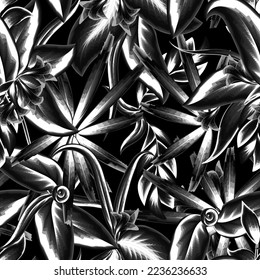 Seamless foliage vintage pattern with plant leves on dark background. Hand drawn illustration with monochromatic color style. Template for print, textile, wallpaper cover and box design. tropical art