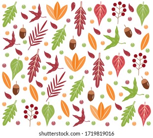 Seamless forest pattern with acorns and autumn leaves. Fall background. Design Vector wallpaper.