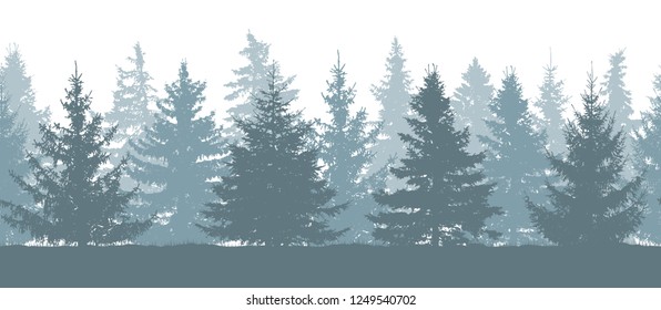 Seamless forest in winter, silhouette of fir trees. Vector illustration.