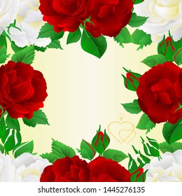 Seamless frame  two white and red roses  festive  background greeting card vintage vector botanical illustration editable hand draw