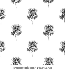 Seamless freehand pattern of abstract rose flowers isolated on white background. Vector floral illustration. Cute doodle modern isolated elements. Outline