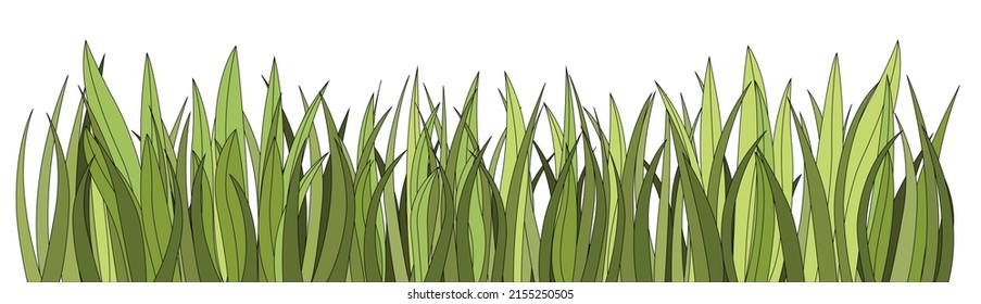 Seamless fresh green grass on white background, vector illustration