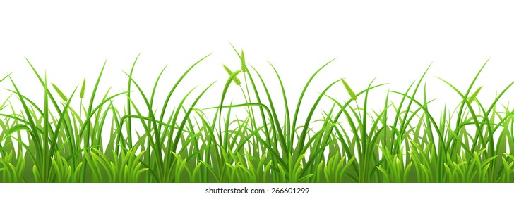 Seamless fresh green grass on white background