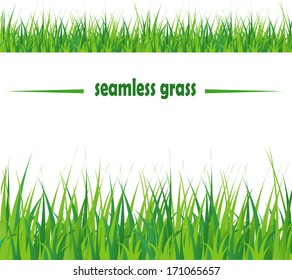 Seamless fresh spring green grass isolated on white background