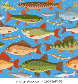Seamless freshwater fish pattern. Vector illustration in cartoon flat style. Fishing sport, seafood design. Background with different types of fish