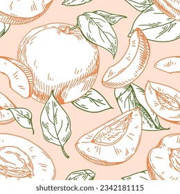 Seamless fruit pattern with apricots and leaves. Hand-drawn repeating print in vintage style. Detailed retro endless background, texture design. Vector illustration for fabric, wrapping, wallpaper