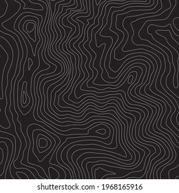 Seamless geometric vector pattern.
Natural shapes, curves lines texture.
Black and white topographic background.