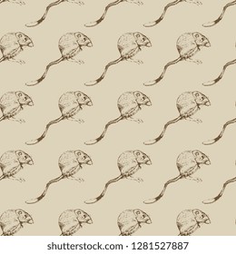 Seamless geometrical animal pattern with hand drawn sketches of desert kangaroo rats. (Dipodomys deserti). Vintage style. 