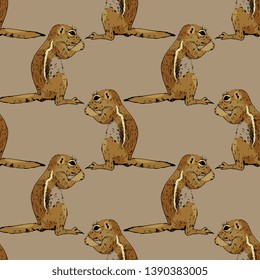 Seamless geometrical animal pattern with hand drawn sketches of wild rodent. Ground squirrel, Prairie dog, Chipmunk, Suslik or Gopher. 