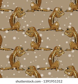 Seamless geometrical animal pattern with hand drawn sketches of wild rodent and snowflakes. Ground squirrel, Prairie dog, Chipmunk, Suslik or Gopher. 