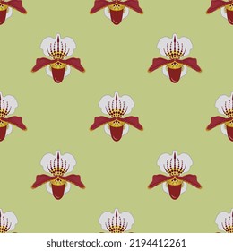 Seamless geometrical floral pattern with blooming heads of orchid flower. Paphiopedilum. Venus slipper. On light green background. 
