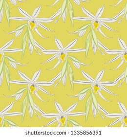 Seamless geometrical floral pattern with flowers of vanilla orchid.