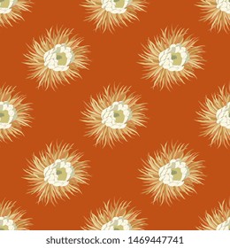 Seamless geometrical floral pattern with flowers of cereus cactus.