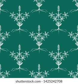Seamless geometrical floral pattern with hand drawn sketches of hemp or cannabis plant. Vintage style. White silhouettes on green background.