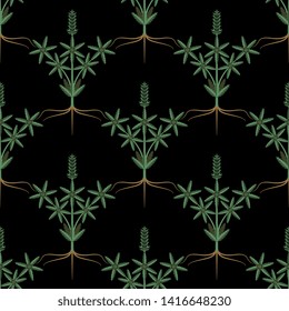 Seamless geometrical floral pattern with stylized branches of hemp or cannabis plant.