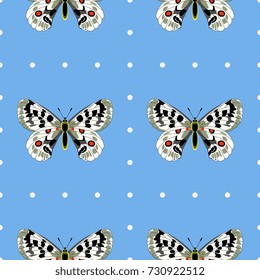 Seamless geometrical pattern with Apollo butterflies in dotted check squares.