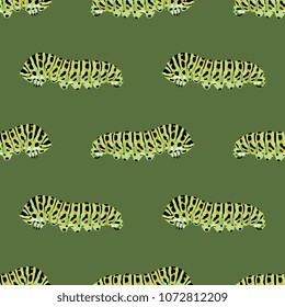 Seamless geometrical pattern with Machaon caterpillars. Papilio machaon. Old World swallowtail.
