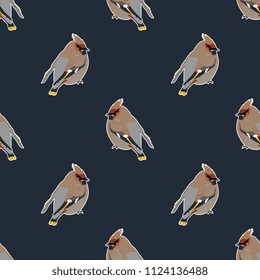 Seamless geometrical pattern with silhouettes of Bohemian Waxwing birds. (Bombycilla garrulus). Cartoon style.