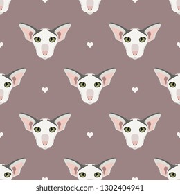 Seamless geometrical polka dot pattern with stylized funny faces of domestic cat and small heart symbols. Exotic oriental breed. Flat cartoon style.