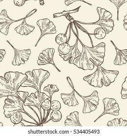 Seamless with ginkgo leaves. Cosmetics and medical plant. hand drawn.