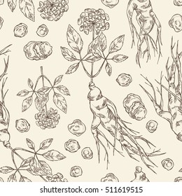 Seamless with ginseng. Medical plant. hand drawn