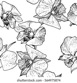 Seamless grace pattern with flower of orchid. Black and white hand drawing background. Flowers of tropical orchid. Decorative repeated ornament for printing, paper decoration and textile design