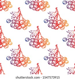 Seamless gradient pattern with hand drawn viburnum on white background. Suitable for packaging, wrappers, fabric design
