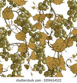 Seamless grapes background.Hand drawn illustration