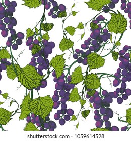 Seamless grapes background.Hand drawn illustration