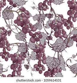 Seamless grapes background.Hand drawn illustration