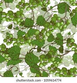 Seamless grapes background.Hand drawn illustration