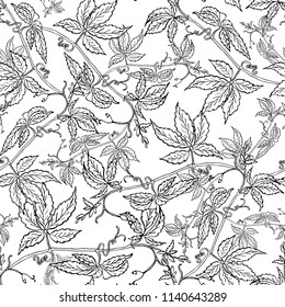 Seamless graphic design with hand drawn leaves. Fashion, interior, wrapping, packaging suitable. Repeat pattern of black and white wild grapes branches isolated on white