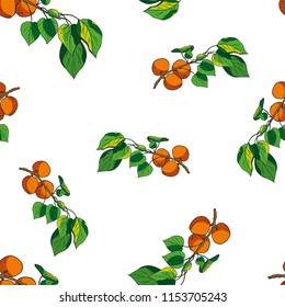 Seamless graphic design with hand drawn leaves. Fashion, interior, wrapping, packaging suitable. Repeat pattern of colorful apricot branch isolated on white