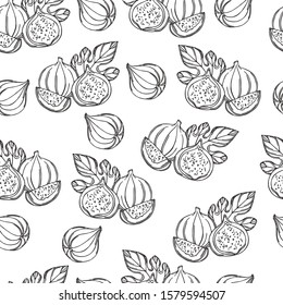 Seamless graphic vector pattern with figs
