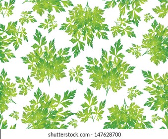 seamless grass background, parsley green leaves on the white background