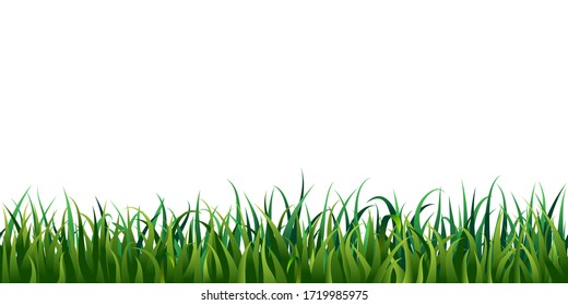 Seamless grass border isolated on white or transparent background. vector illustration of fresh realistic green lawn. endless horizontal grass frame. bright meadow panorama. spring, summertime design