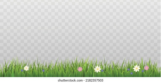 Seamless Grass Border With Spring Flowers, Realistic Flat Vector Illustration On Transparent Background. Summer Lawn Or Meadow With Floral Elements. Horizontal Banner.