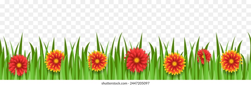 Seamless grass with flowers. Border of grass and flowers. Vector illustration.