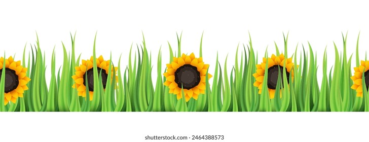 Seamless grass with sunflower. Border of grass and flowers. Vector illustration.