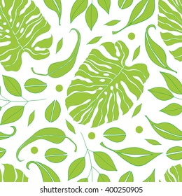 Seamless green abstract eucaliptus, philodendron. Natural simple background on white. Hand drawn leaves vector pattern. 