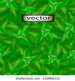 Seamless Green background from leaves of grass, cover the grass with large fresh leaves.