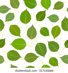 Seamless with green birch leaves