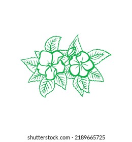 Seamless green flower vector art template