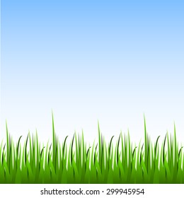 Seamless green grass with blue sky horizontal vector background.