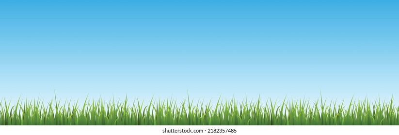 Seamless green grass border and bright blue sky flat style, vector illustration. Nature landscape, decorative design element for background, fresh organic herb and plant