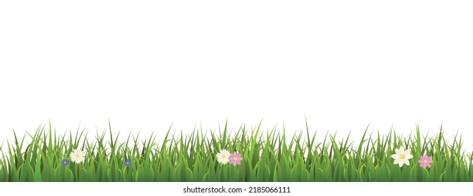 Seamless green grass border with different colorful flowers flat style, vector illustration on white background. Decorative design element for landscape, nature, environment