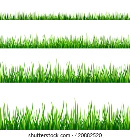 Seamless green grass field. Grass pattern isolated on white background. Collection of different grass scaled front plants. Vector grass illustration EPS10