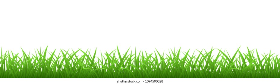 Seamless green grass isolated on white background