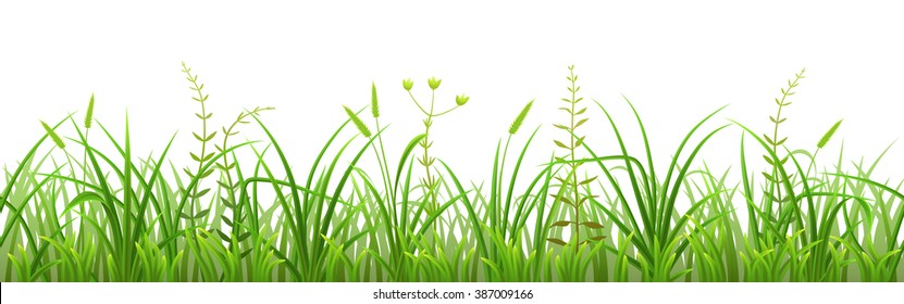 Seamless green grass pattern on white background